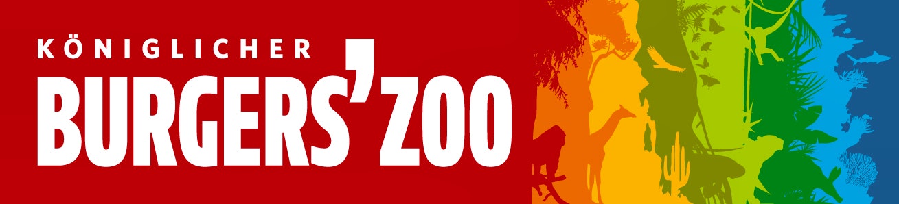 Avontuurlijk overnachten in Burgers' Zoo Camp in een luxe Awaji tent voor 4 personen!